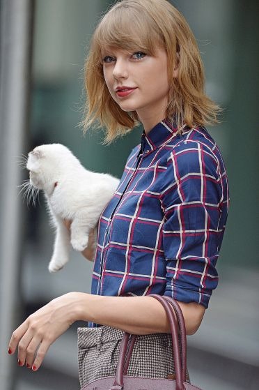 Taylor Swift’s Cats: All About Meredith Grey, Olivia Benson and Benjamin Button