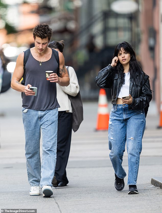 Still going strong! Shawn Mendes and Camila Cabello are seen holding hands on a romantic stroll through NYC… a month after rekindling their romance