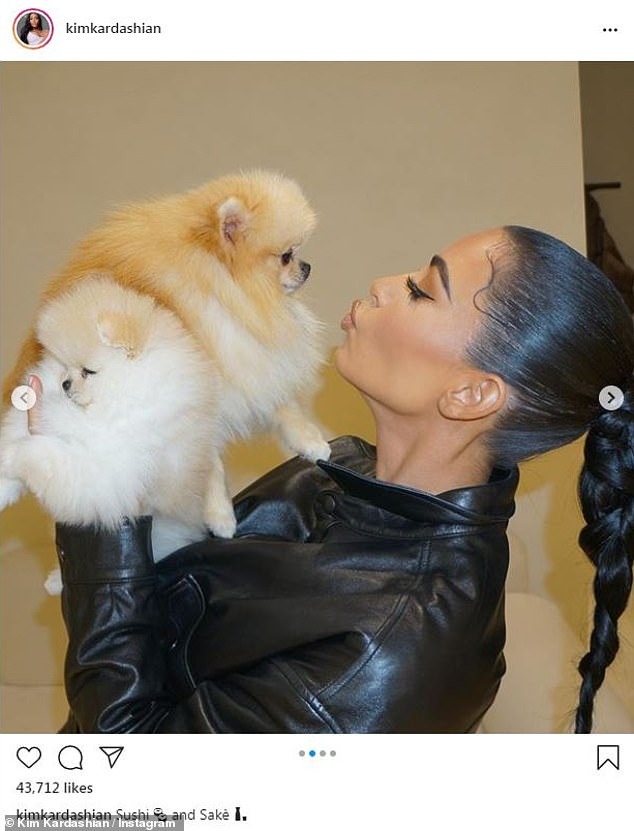 Kim Kardashian shares rare pH๏τo of her Pomeranian named ‘Sushi’ as she dresses the pooch up in Barbie pink sweater with fur collar