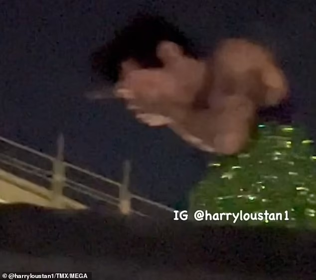 Shocking moment Harry Styles winces as he is hit in the face with a flying object while on stage in Vienna during tour