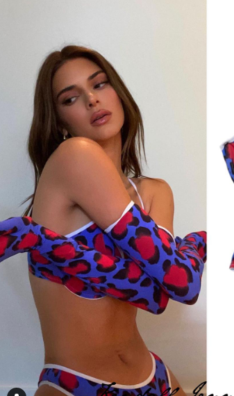 Kendall Jenner Gets Wild In An Animal Print Bra Top And Matching Gloves On Instagram