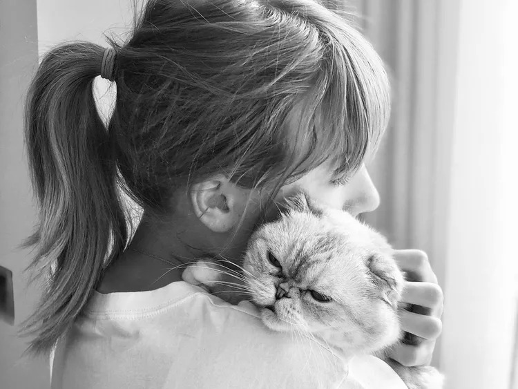 Taylor Swift’s Cats: All About Meredith Grey, Olivia Benson and Benjamin Button