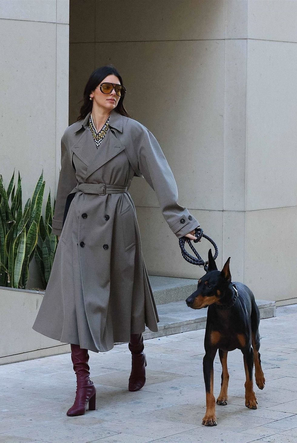 Kendall Jenner Executes a Lesson in Glamour on a Casual Dog Walk