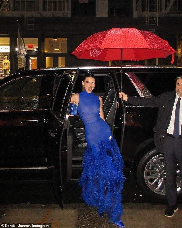 Kendall Jenner Wears See-Through Blue Gown With Feathered Skirt In NYC