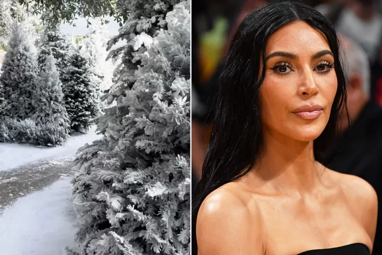 Kim Kardashian Gets Backlash for Faux Snow-Covered Home Transformation: ‘So Wasteful’