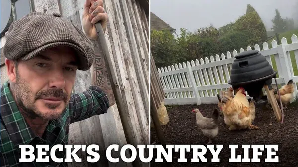 COUNTRY LIVING David Beckham gives fans a tour of his vegetable patch at £12million home as he swaps motorbikes for kale and plums