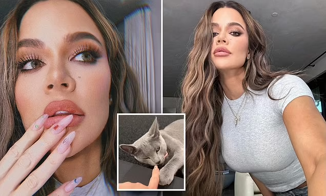 Khloe Kardashian plays with her cat before commenting haters have ‘deep childhood issues’ which gets a ‘like’ from Lauren Sanchez